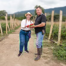 El riego por goteo, la técnica que transforma tu cultivo y ahorra agua